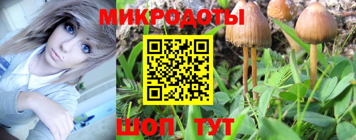 Галлюциногенные грибы мицелий Кингисепп